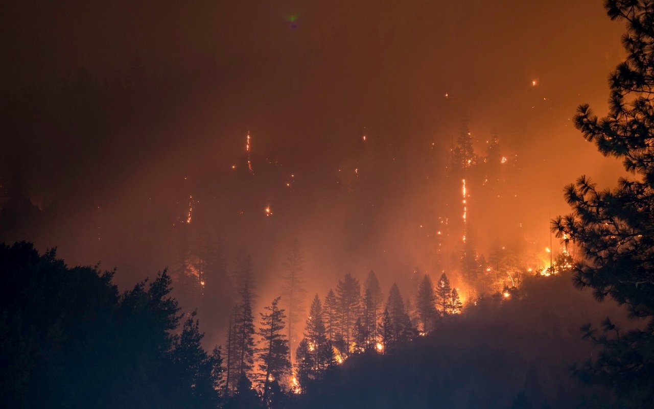 90% aller Waldbrände werden durch menschliches Versagen verursacht.