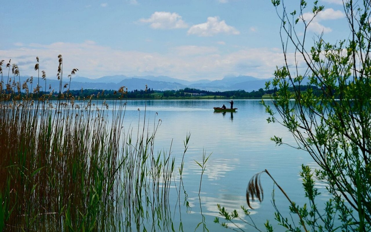 Der Pfäffikersee ist zu jeder Jahreszeit ein beliebtes Natur- und Erholungsgebiet.