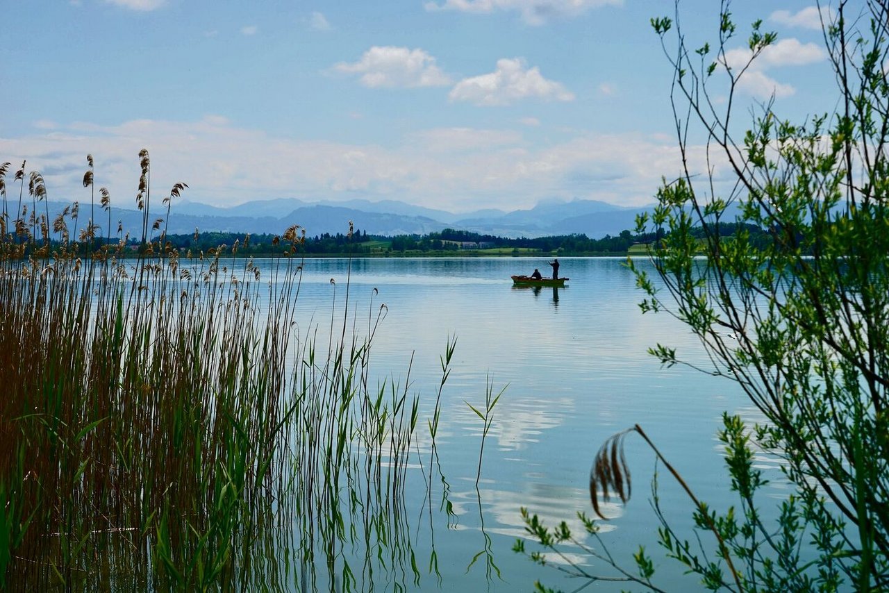 Fischer auf dem Pfäffikersee