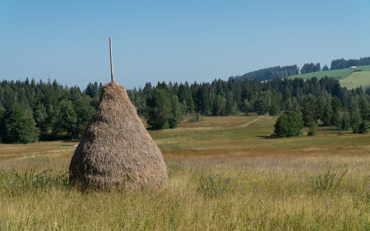 Sogenannte Tristen erinnern an das frühere Leben in und um Moorlandschaften.