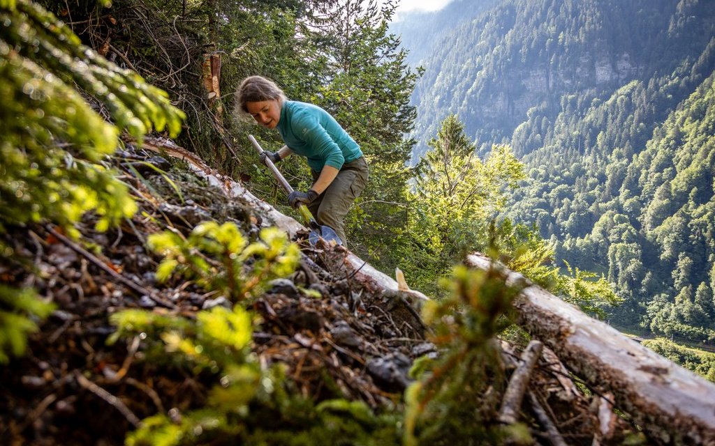 Die Arbeit im Bergwaldprojekt kann anstrengend sein, doch die gesammelten Erfahrungen sind unvergesslich. 