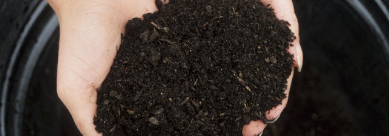 Kompost steigert die Fruchtbarkeit des Bodens.