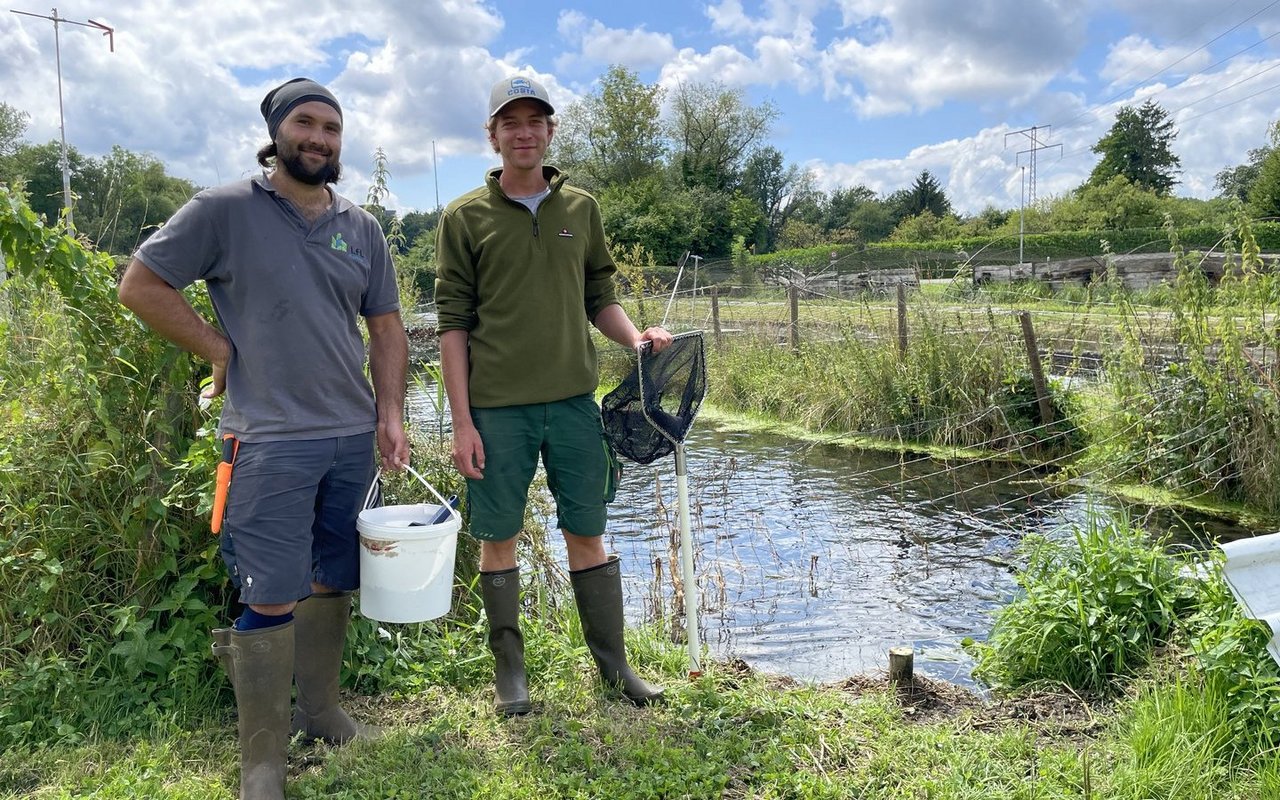 Betriebsleiter Ruben Bohner und Marco Ferrarotti produzieren mit Unterstützung ihres Geschäftsführers Nigel Jack Stevenson jährlich 20 bis 30 Tonnen Fisch.