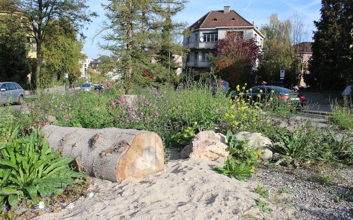 Dank strukturreicher Aufwertung von Kleinlebensräumen nimmt die Artenvielfalt an Wildbienen zu. 