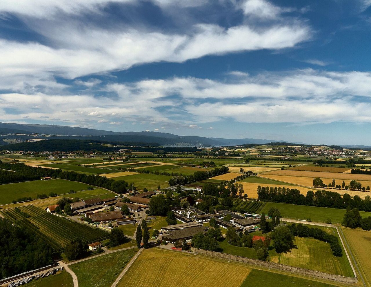 Mit rund 800 Hektaren Land ist die Justizvollzugsanstalt Witzwil der grösste landwirtschaftliche Betrieb der Schweiz.