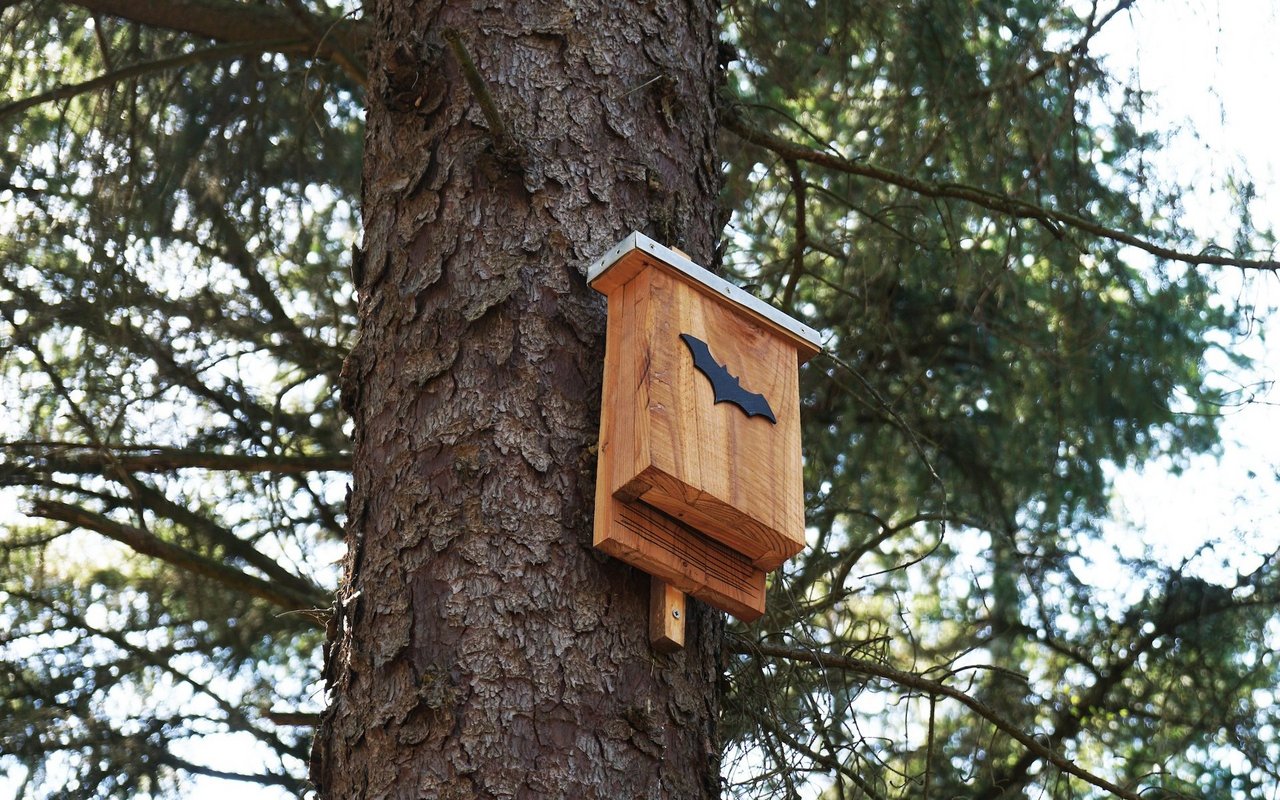 Künstliche Behausungen wie dieser Fledermauskasten bieten gewissen Tierarten ein Zuhause. 