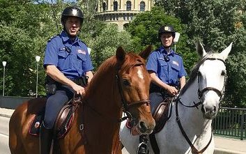 Bei der Berner Polizei kommen auch Pferde zum Einsatz. 