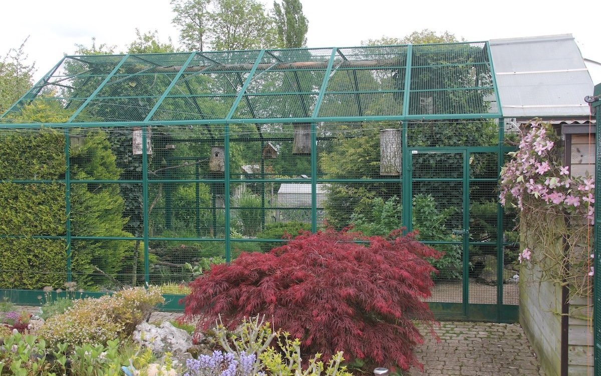 Bepflanzte Freivoliere für verschiedene Vogelarten bei Serge und Josiane Nussbaumer in Bevaix (NE). 