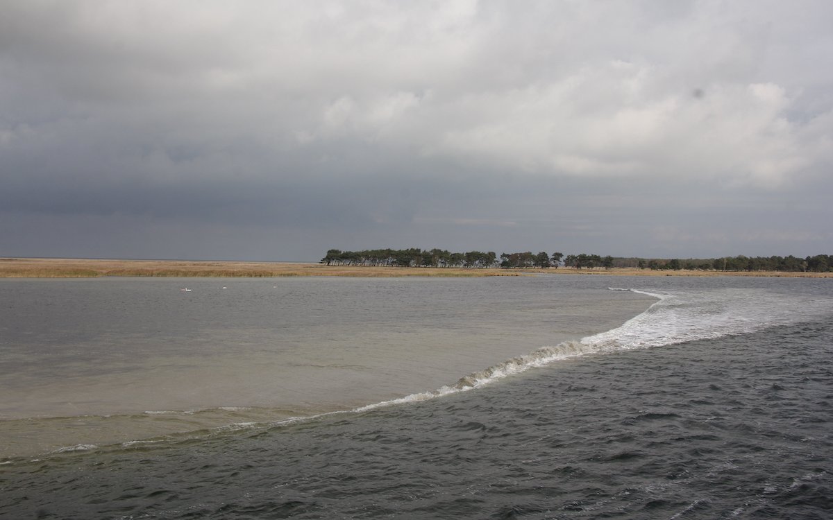 Das Schiff Excellence Coral gleitet durch die Fahrrinne des Barther Boddens, dahinter erstreckt sich die Ostsee. 