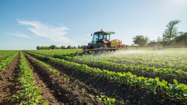 Pestizideinsatz in der Landwirtschaft