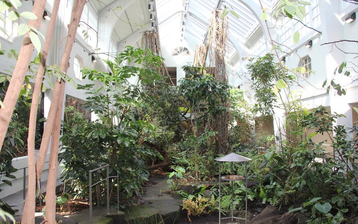 Wie im alten fliegen auch im neu erstellten Vogelhaus in der grossen Halle viele Arten frei inmitten von tropischen Pflanzen. 