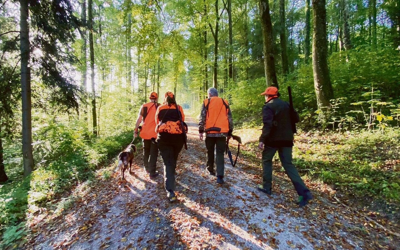 Die Jagdgruppe macht sich auf den Weg.