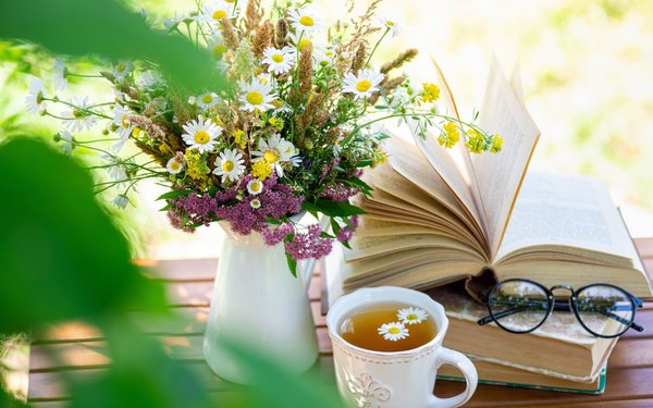 Buchtipps Lebensräume für Tiere und Pflanzen im Garten schaffen