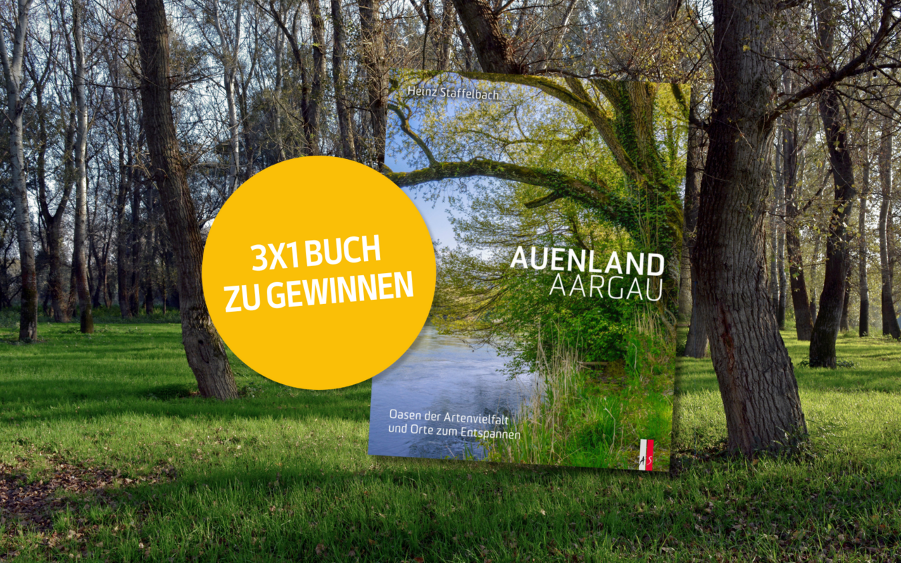 Mit Wandervorschlägen für jedes Gebiet und Hinweisen zu den eindrücklichsten Orten haben Sie alles in der Hand für einen erlebnisreichen Tag im Auenschutzpark Aargau.
