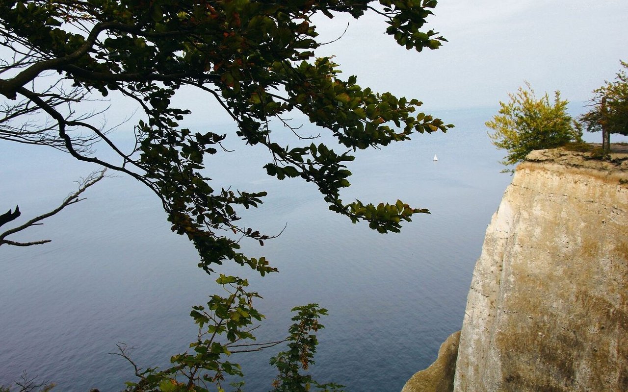 Kreidefelsen an der Ostsee, Wahrzeichen Rügens.