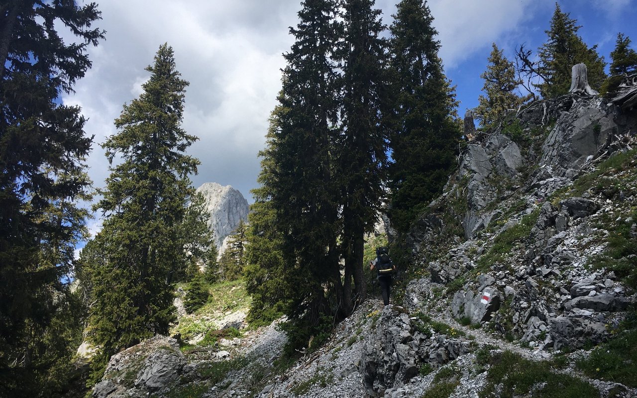 Wilde und ursprüngliche Landschaften wechseln sich ab mit touristischen Höhepunkten. 
