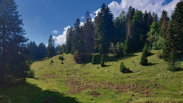 Wühlareal