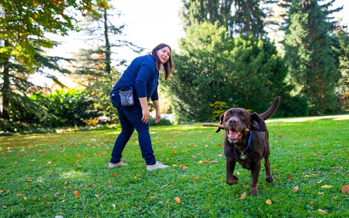 Wurfspiele fördern den Jagdtrieb und sind in der Blindenhundeschule tabu. 