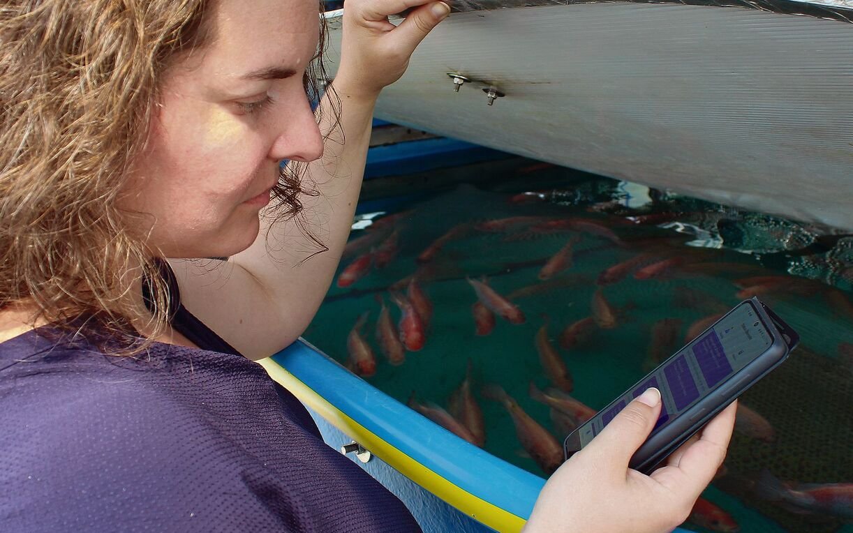 Die Biologin Linda Tschirren kontrolliert mithilfe einer App, wie es ihren Fischen geht.