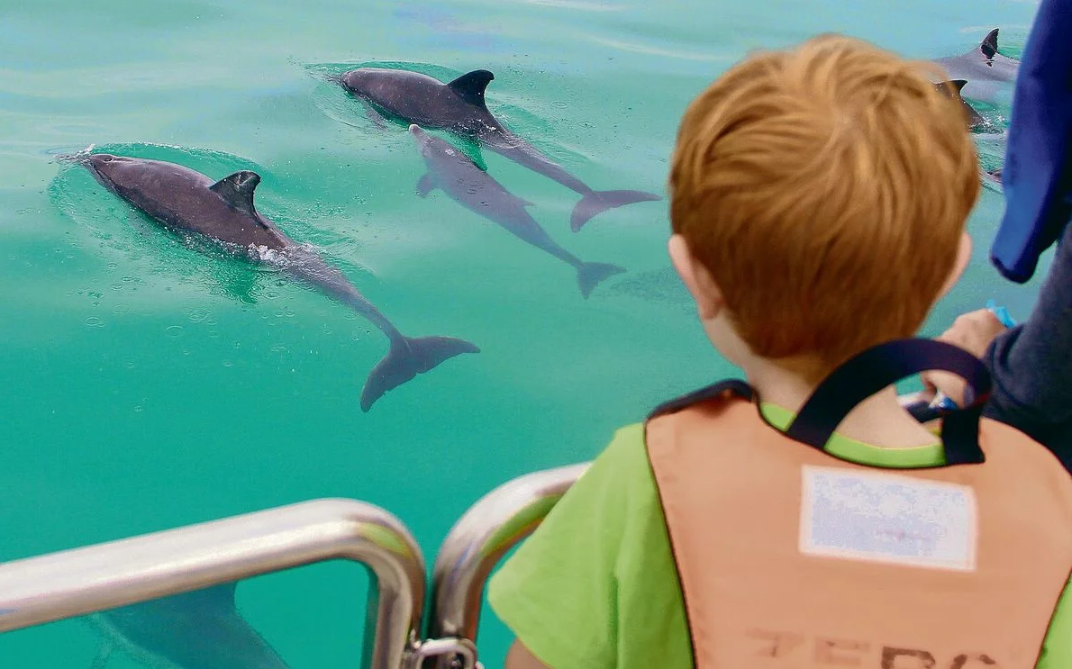 Die einzigartige Meeresfauna Südafrikas begeistert auch junge Touristen.