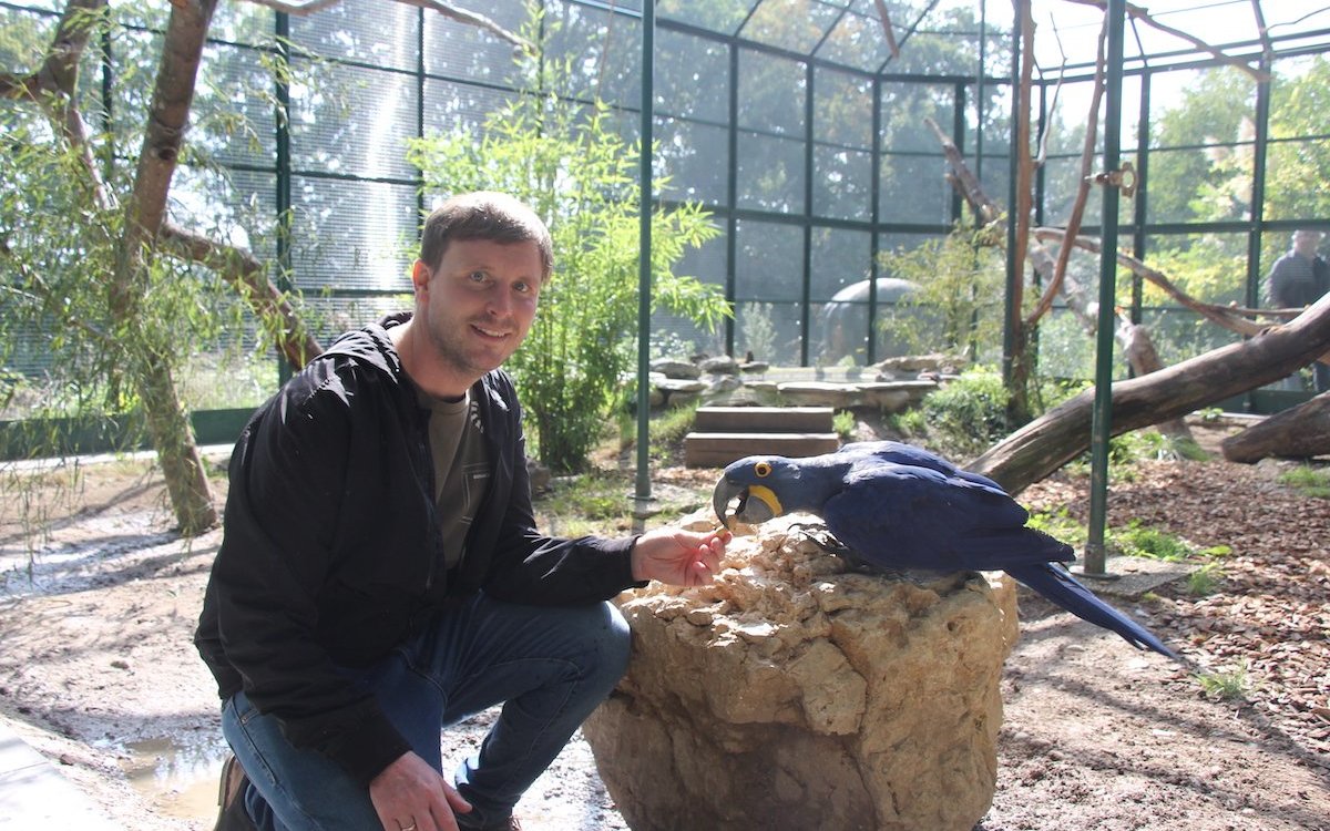 Dr. Tobias Blaha, Direktor des Bioparc Genf, in der grossen Südamerika-Voliere mit einem zutraulichen Hyazinthara. 
