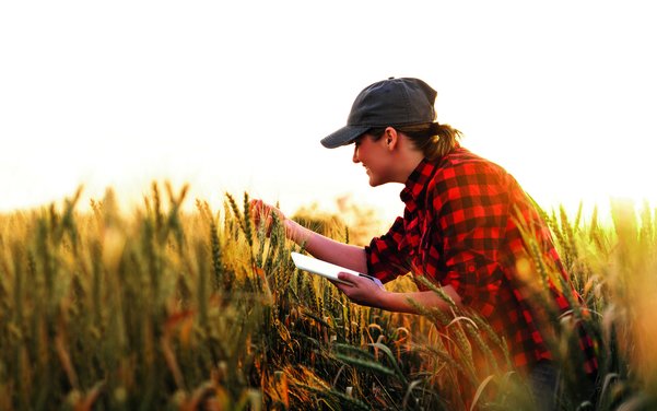 Frauen prägen die Schweizer Landwirtschaft auf vielfältige Weise – ob als Betriebsleiterinnen, Agronominnen oder eingeheiratete Mitbäuerinnen – und stehen dabei oft vor strukturellen Hürden, die neue Perspektiven und Engagement erfordern.