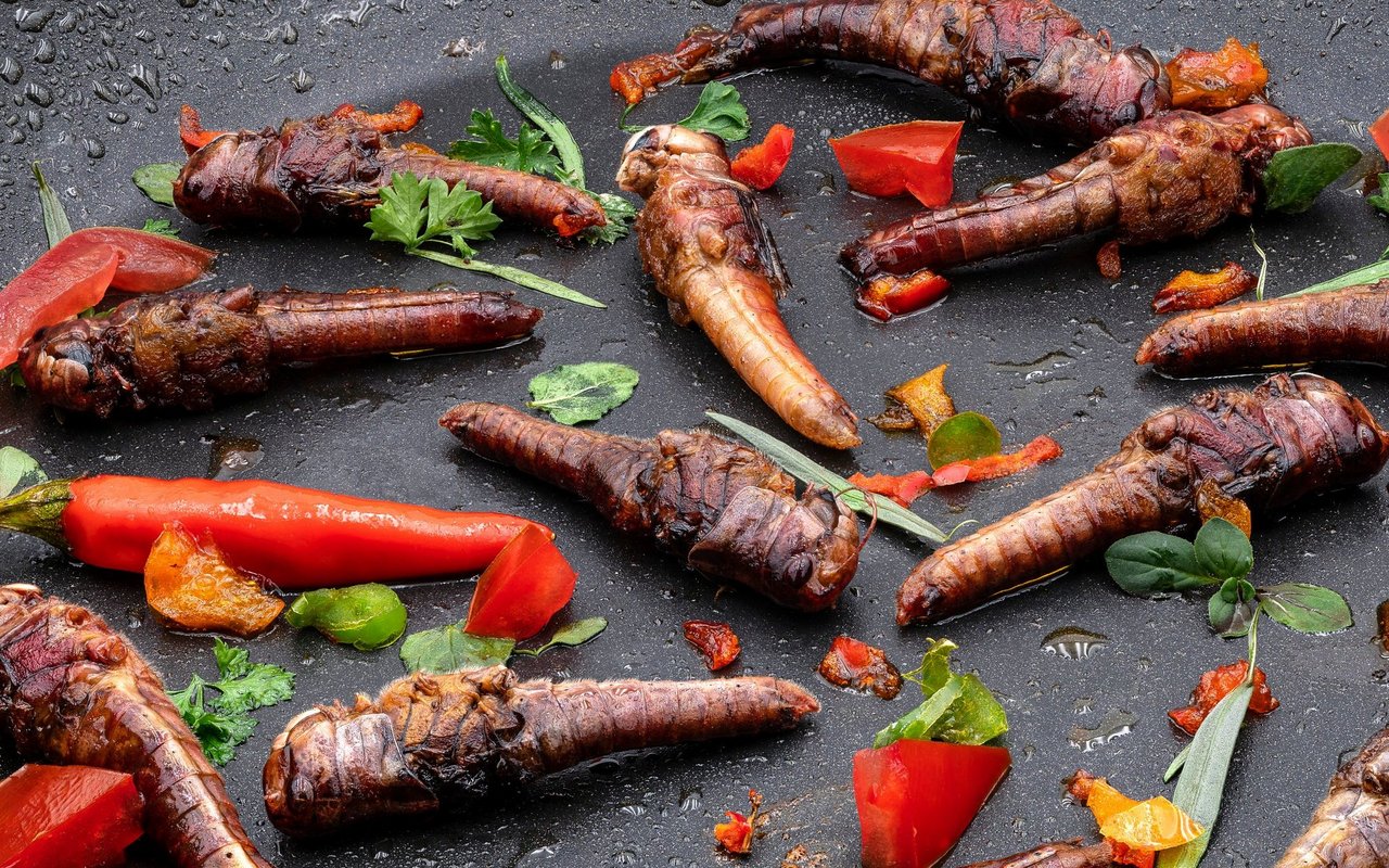 Knusprig gebratene Heuschrecken: Die Insekten sorgen hierzulande mehr für Ekel als für Appetit.