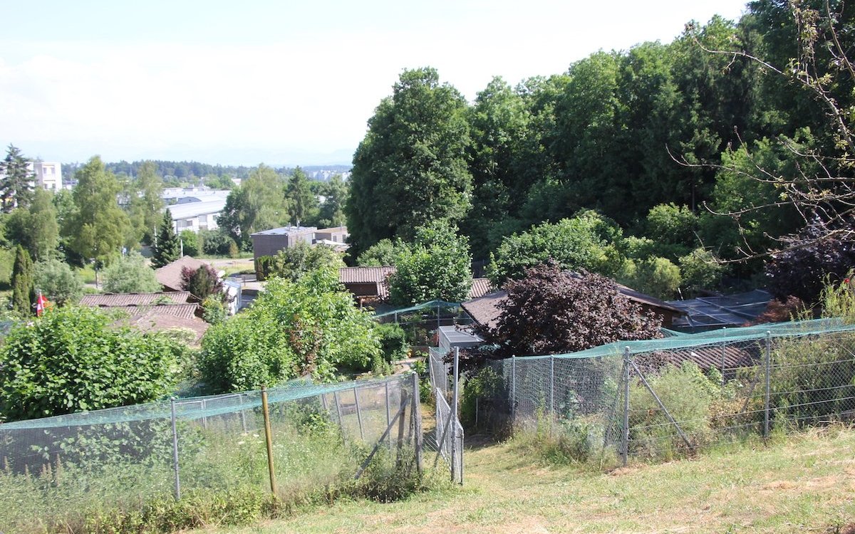 Blick über die Kleintieranlage im Chapf im zürcherischen Volketswil. 