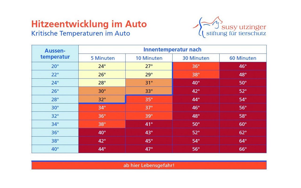 Bei einer Aussentemperatur von 20 Grad reichen schon 30 Minuten im Auto, dass es für den Hund lebensgefährlich werden könnte.