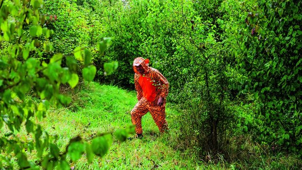 So tun als ob: Der Walter Zoo hat im Herbst 2025 den Ausbruch eines Tigers geübt. 