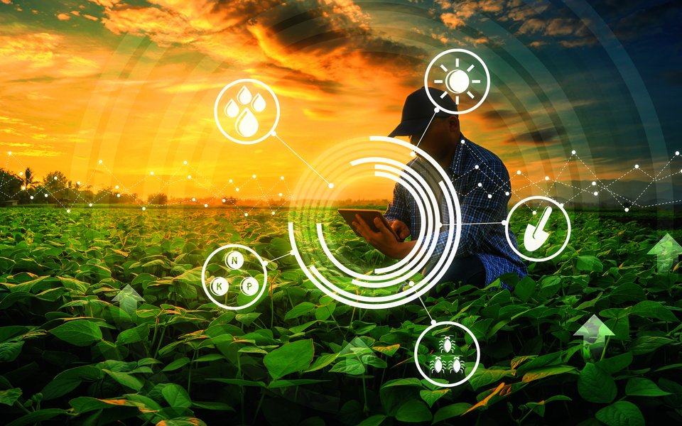 Der ökologische Landbau sollte Innovationen gegenüber offen sein, findet Urs Niggli.