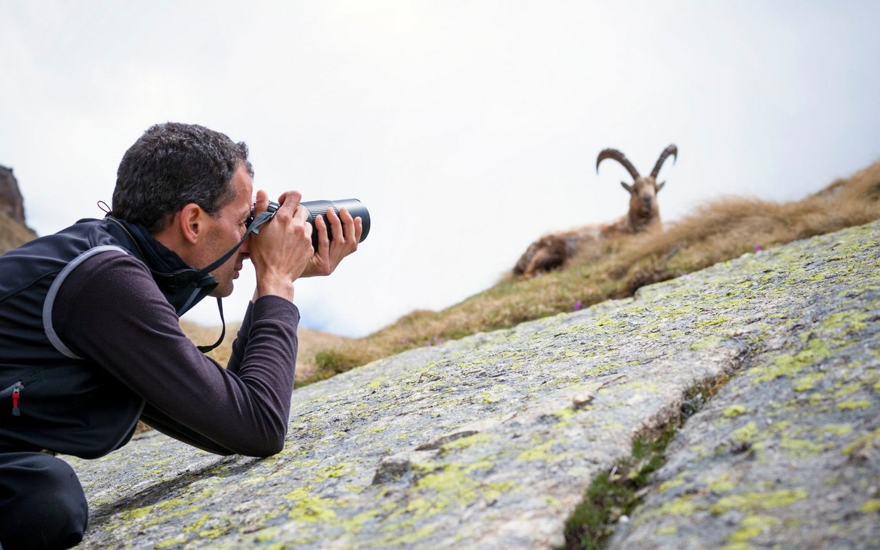 Symbolbild: Ein Tierfotograf fotografiert einen Steinbock.