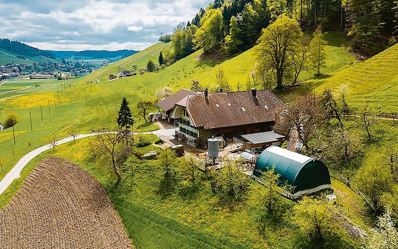 Die steilen Weiden des Hofes Enetbiglen verlangen nach einer geländegängigen Kuh.