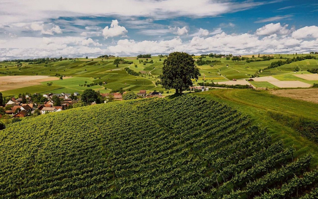 Bild: Regionaler Naturpark Schaffhausen