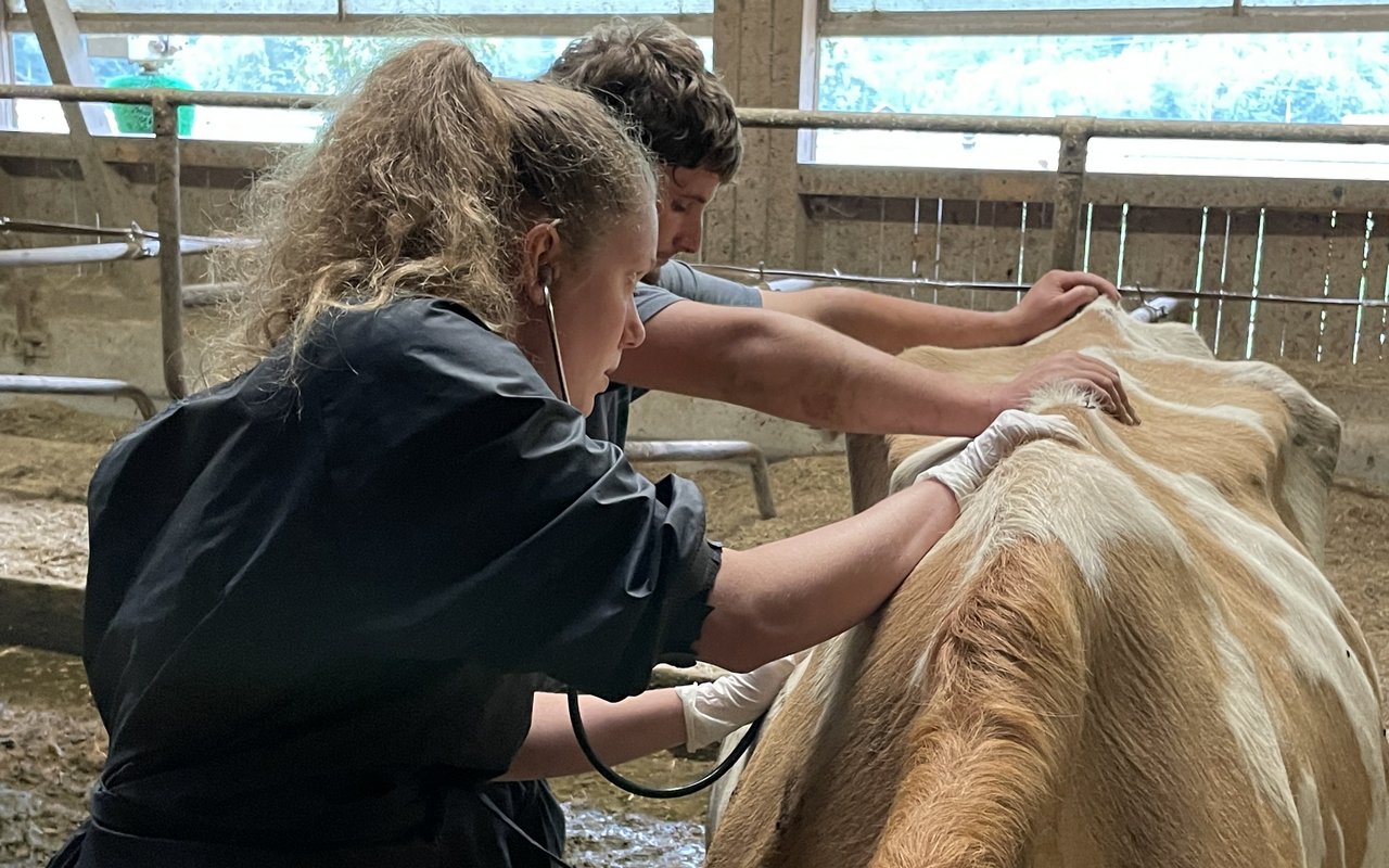 Studentin Eva Fankhauser prüft die Vitalwerte der kranken Tamina.