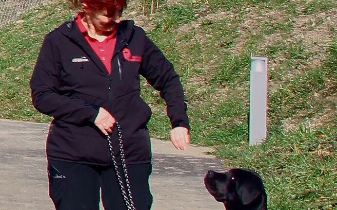 Die Leiterin des Tierzentrums Bern, Therese Beutler, beim Training mit Emma, der Hündin der Rasse Cane Corso.