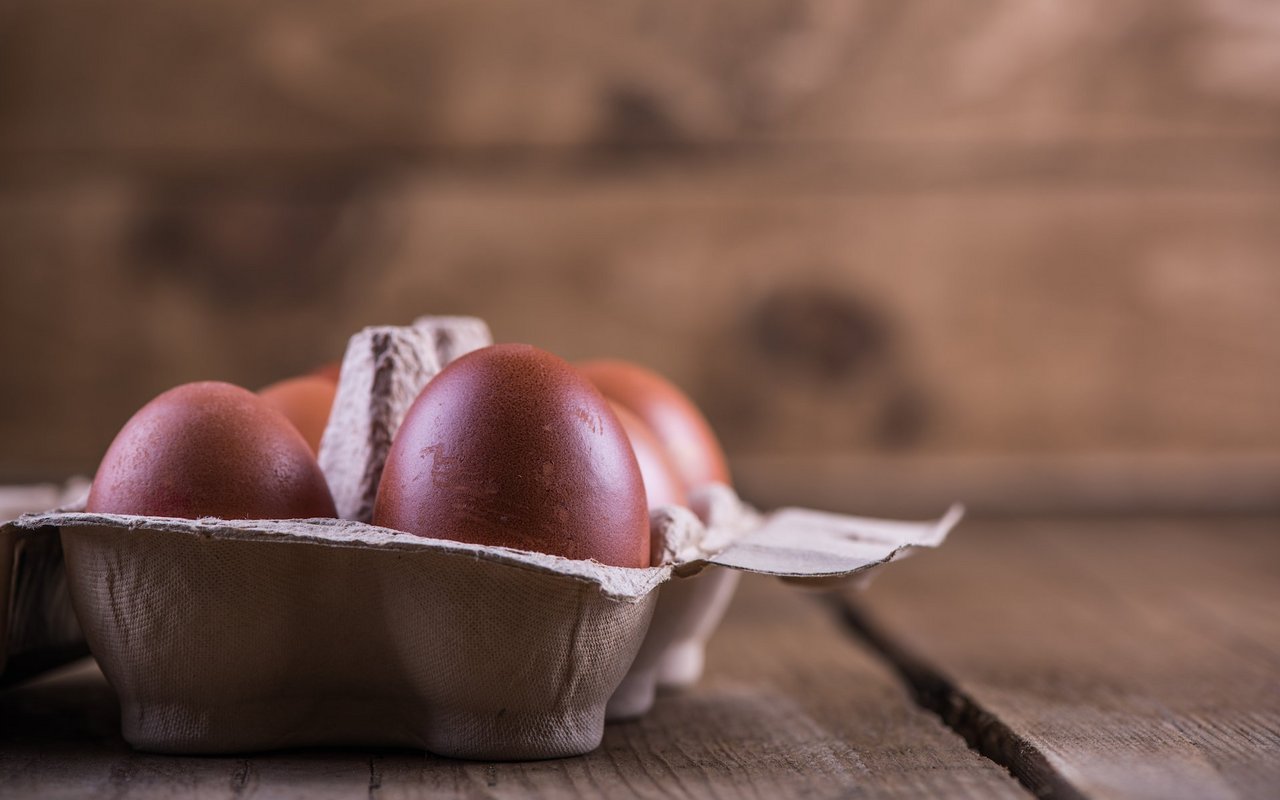 Schokobraune Eier werden von Marans-Hühnern gelegt.