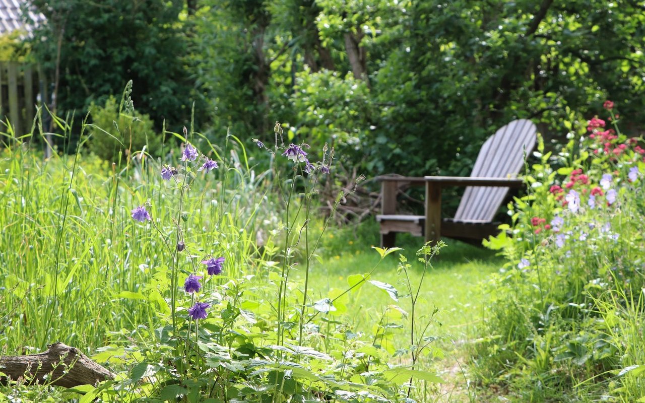 Wer es gerne spriessen lässt im Garten, darf sich auch auf krabbelnde Besucher freuen.