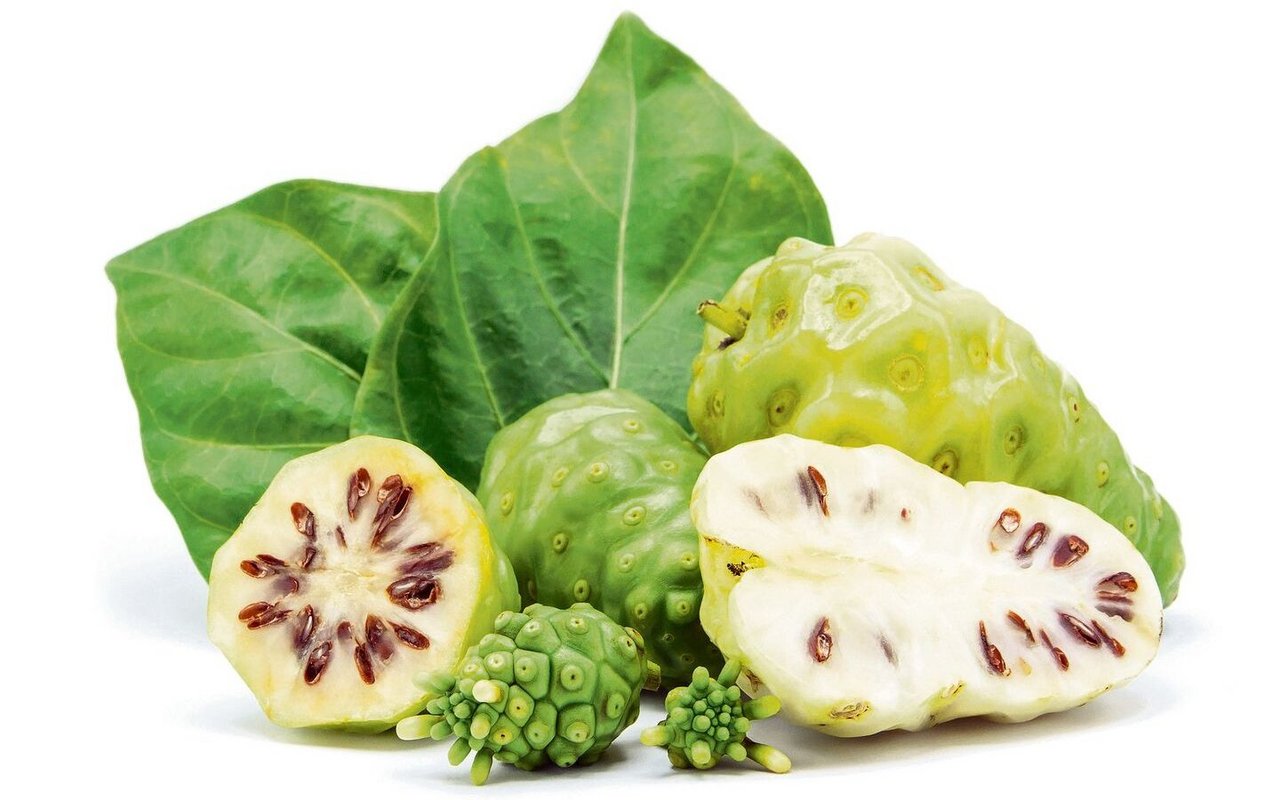 Noni