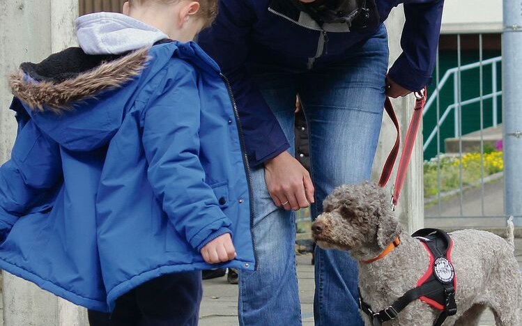 Den Kindern wird der richtige Kontakt zu Hunden vermittelt. 