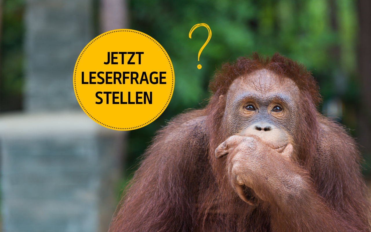 Was wollten Sie schon immer über Tiere und Natur wissen? Senden Sie uns Ihre Leserfrage zu! 