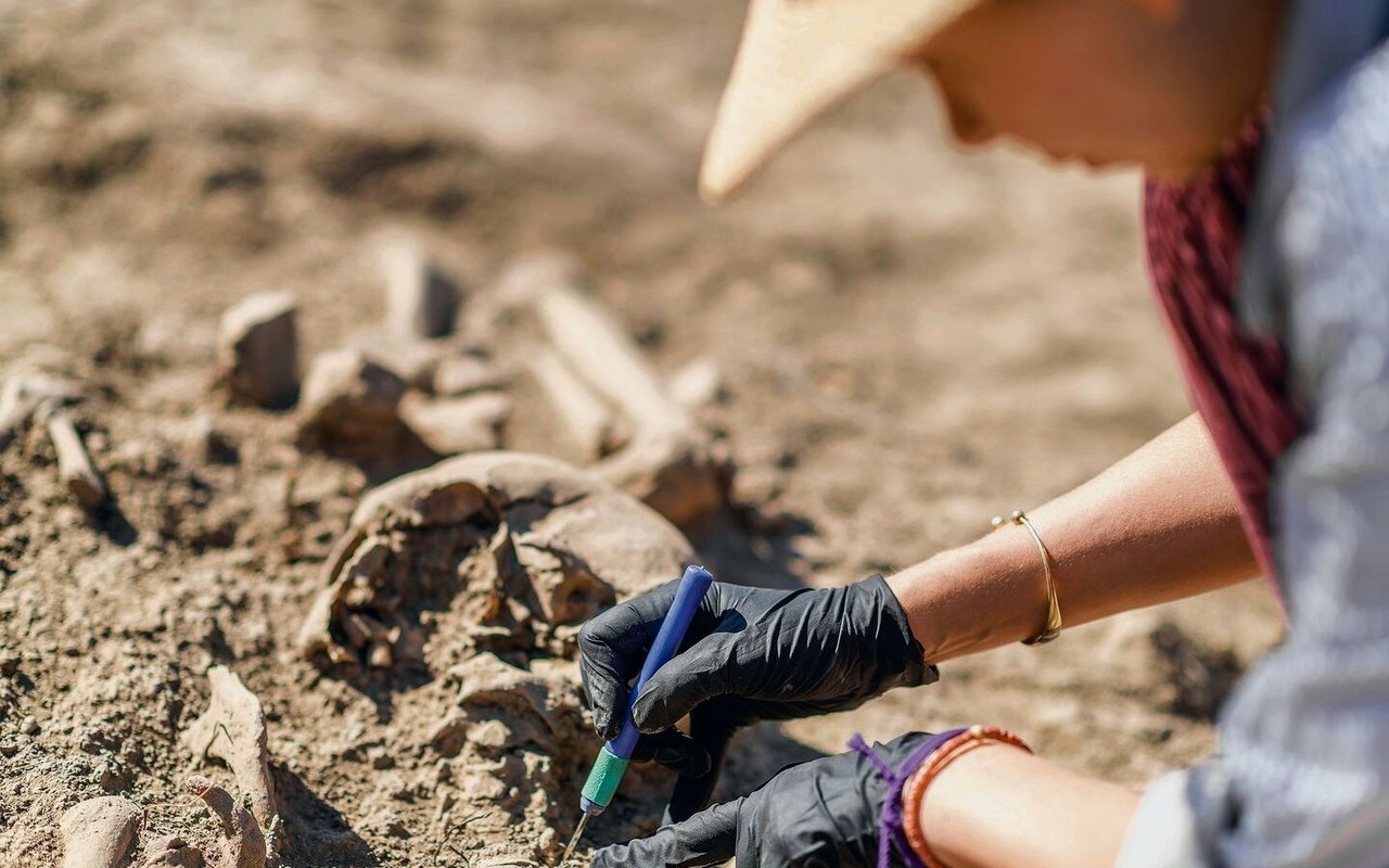 Ein häufiges Einsatzfeld von Archäologiehunden sind historische Grabstätten.