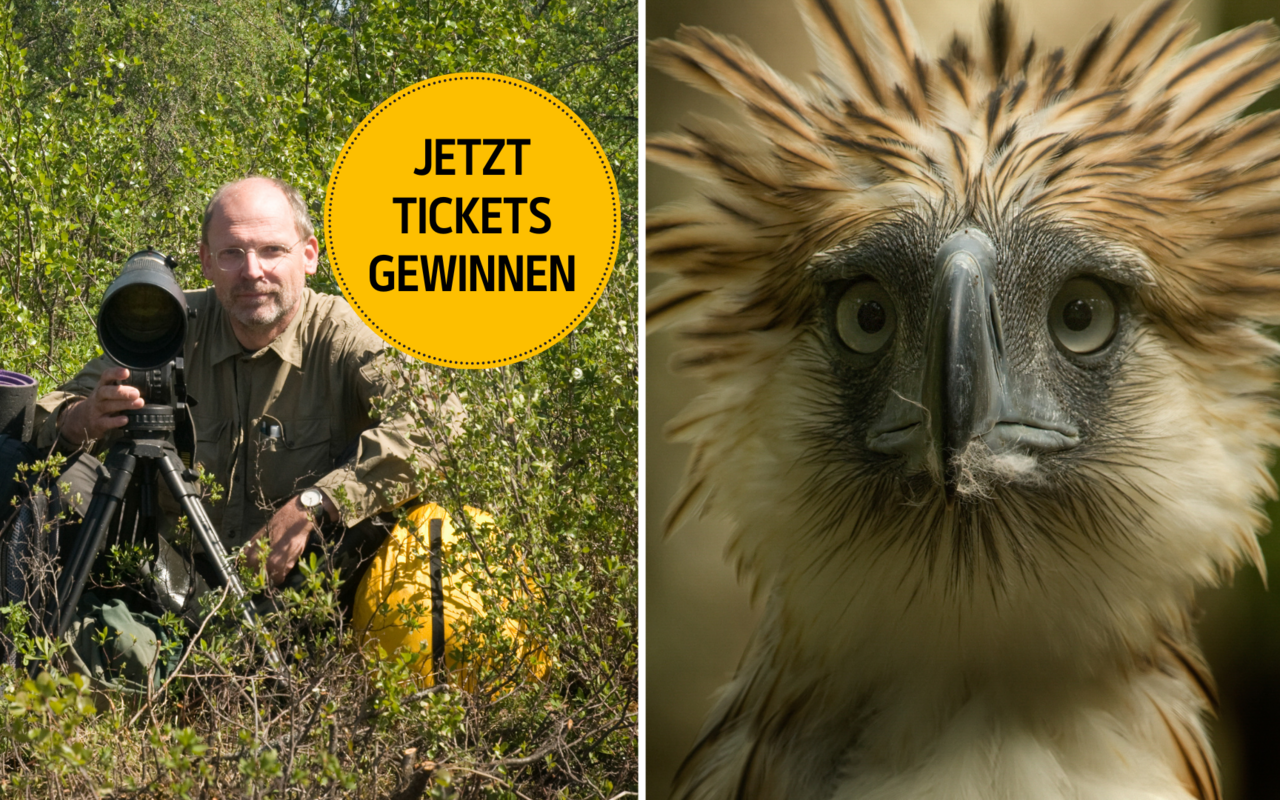 Fotograf Klaus Nigge zeigt vergessene Tiere wie der Philippinenadler.