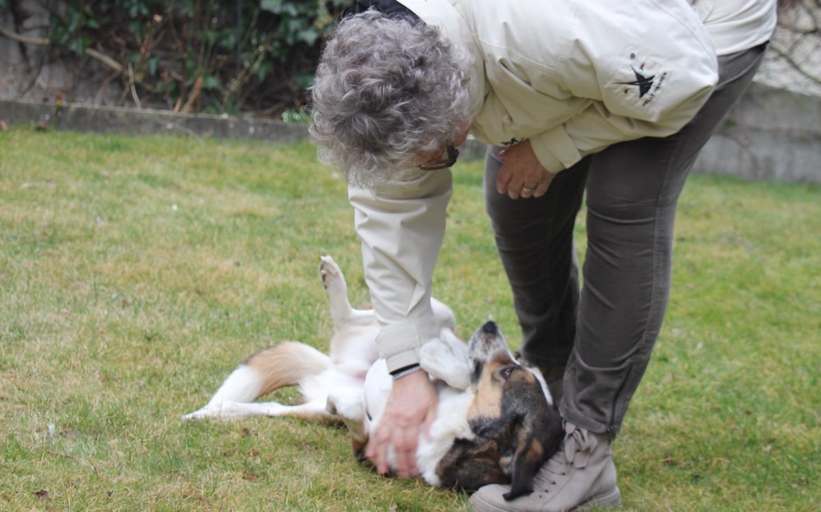 Carole Reist spielt mit ihrem Hund Lerry, den sie aus dem Tierheim Bern adoptiert hat. 