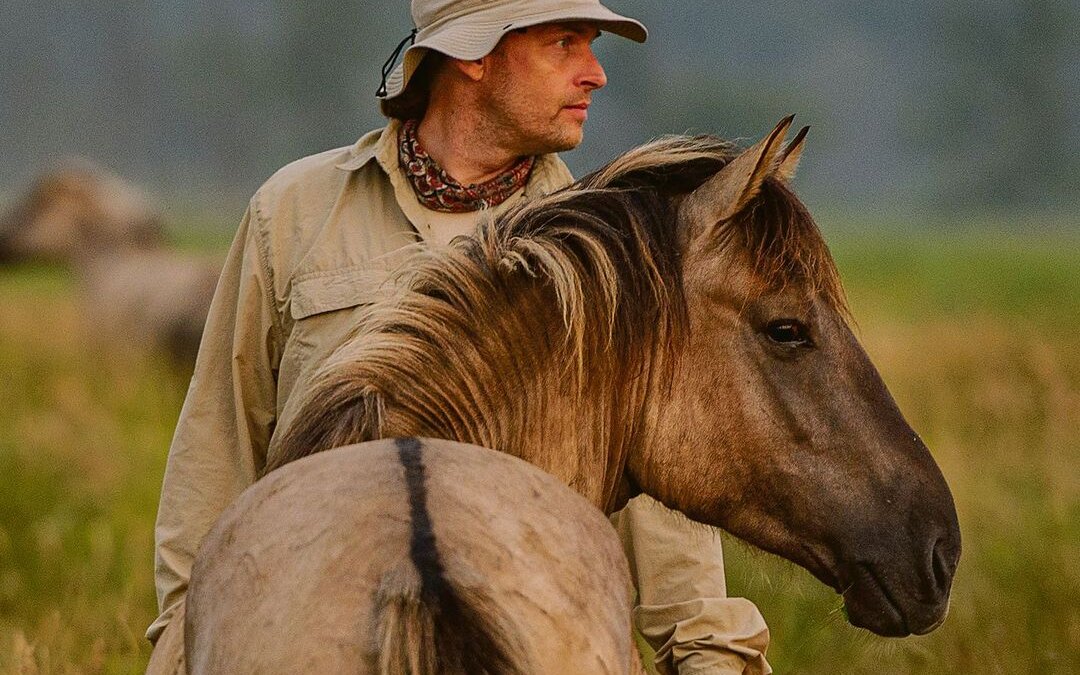 Marc Lubetzki bei den Wildpferden.