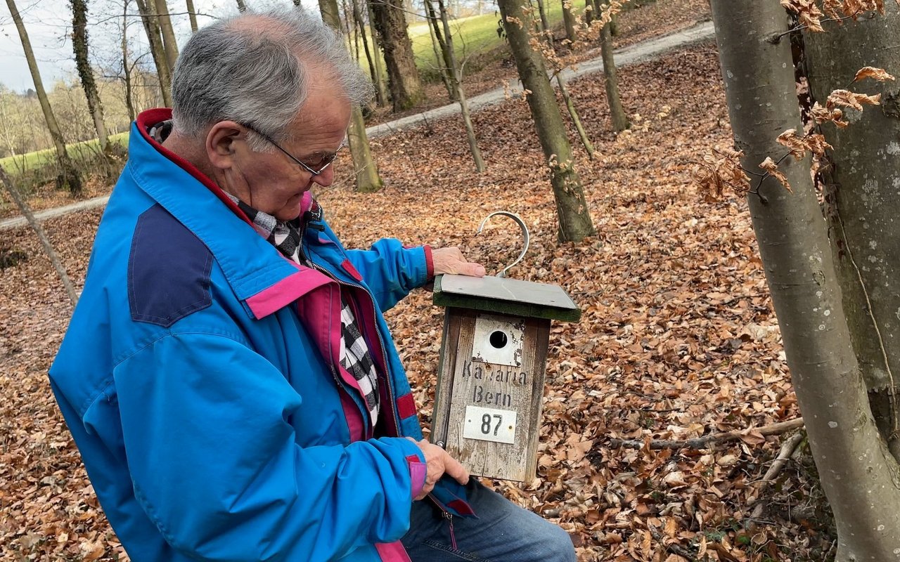 Hans Iseli kümmert sich um die Nistkästen in der Elfenau. 