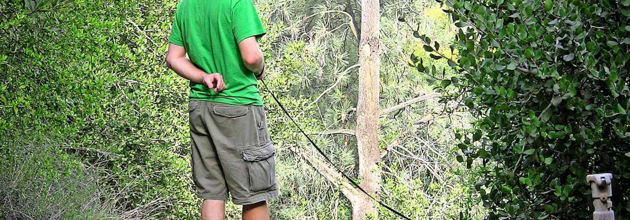 Ab in den Wald: Eine geduldig an das Geschirr und die Leine gewöhnte Wohnungs-Katze geniesst die Abwechslung.