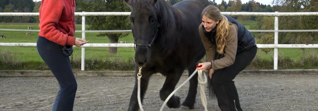 Stéphanie Hostettler mit Schülerin Nadine Meijer und Isländerwallach Svarti beim Klickertraining.