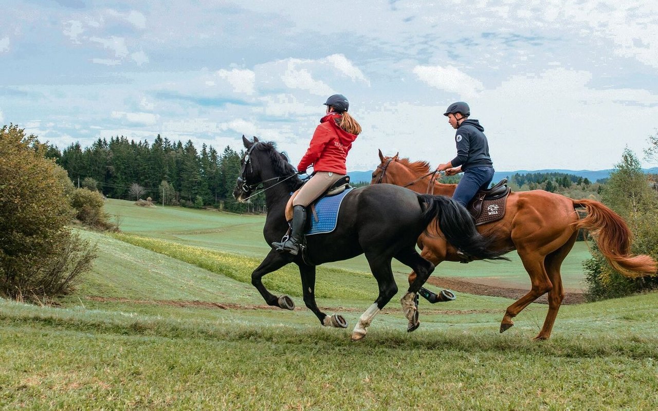 Einsame Wiesenwege laden zu einem flotten Galopp ein.