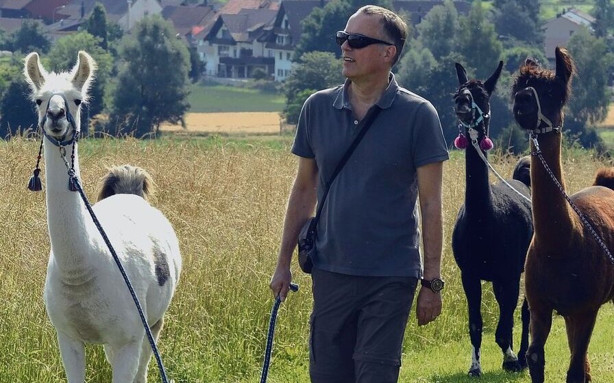 Lama trekking